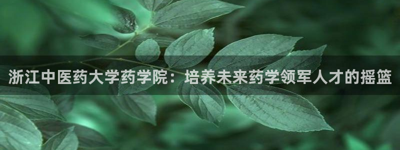 j9九游会网址