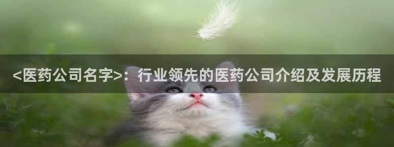 九游会vip