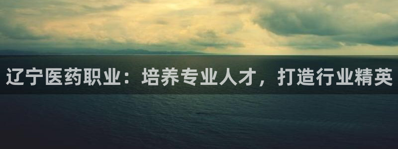 九游会网站打不开了