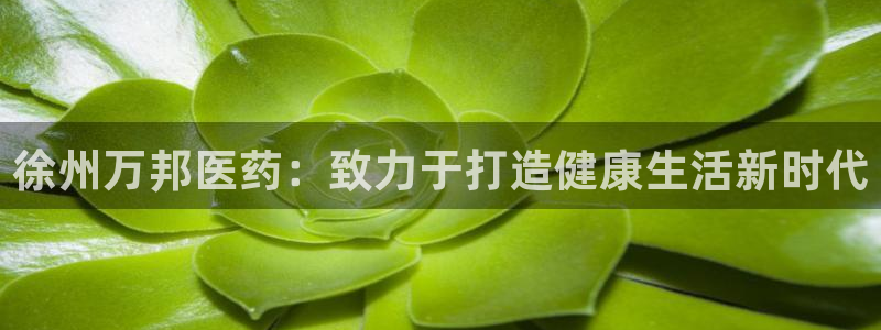 九游会关服吗