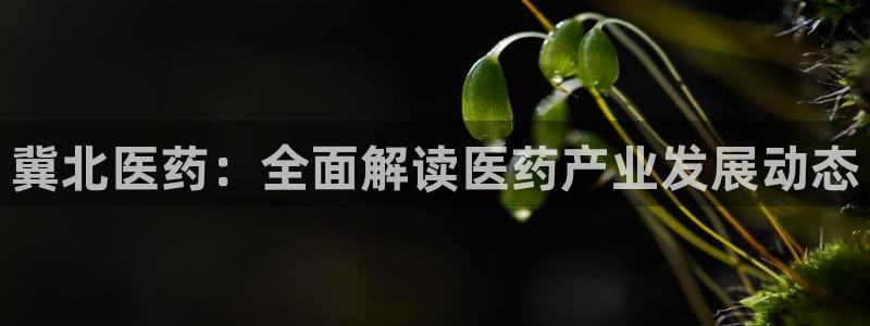 九游会是干嘛的游戏