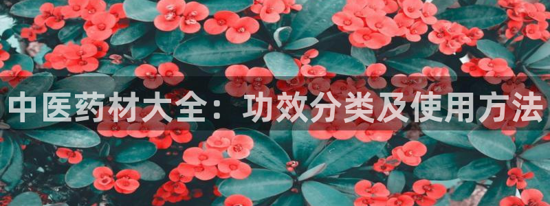 九游会员中心