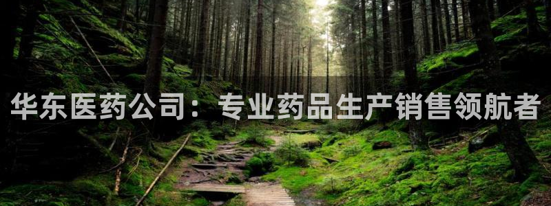 九游会官