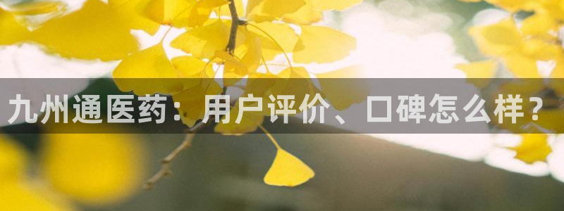 九游j9打不开