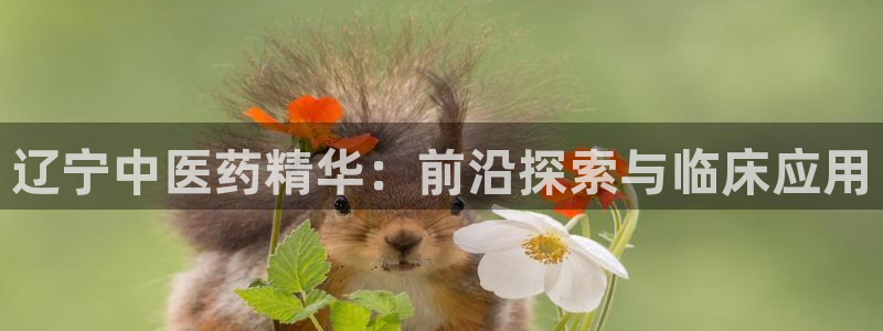九游会ag亚洲
