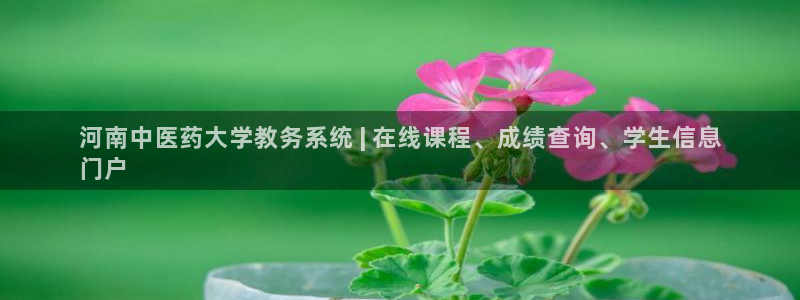 j9.com