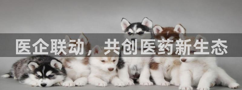 九游会直营