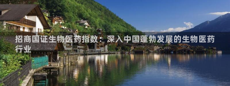 九游会 ag