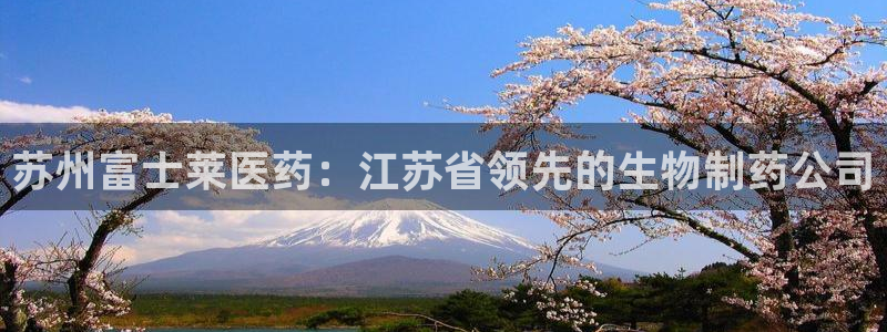 九游j9国际站