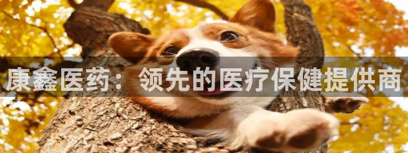 九游j9官网入口