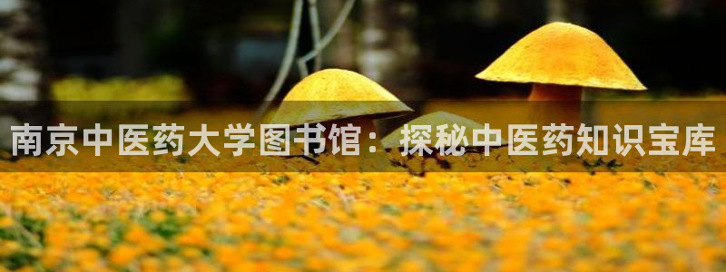 j9九游会游戏
