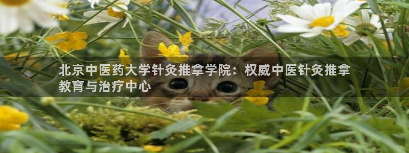 j9九游会官网入口
