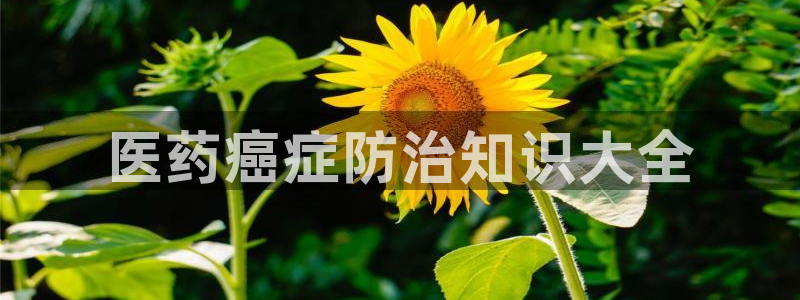 九游j9官网