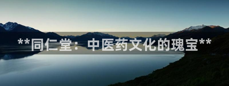 九游j9国际站