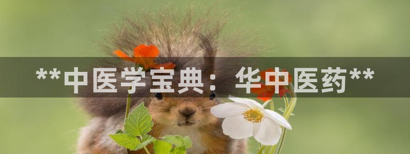 九游会在线官方网站登录吗