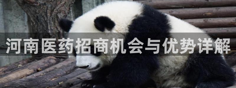 ag九游会登录中心