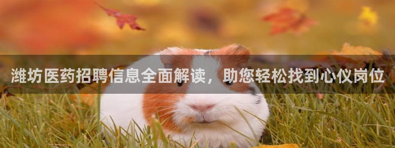 九游会平台怎么样