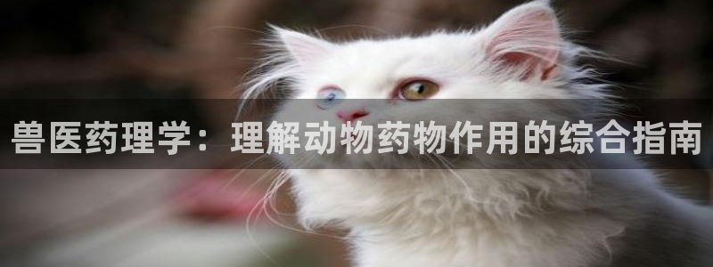 九游会中国入口嘛