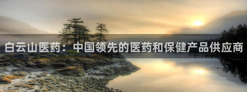 九游会集团货币
