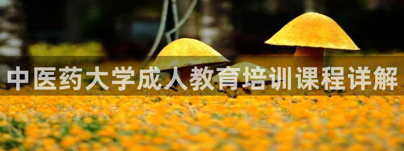 九游会大家觉得怎么样