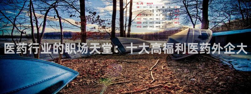 ag怎么变成九游会了 