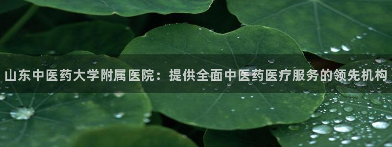 j9九游会合法吗