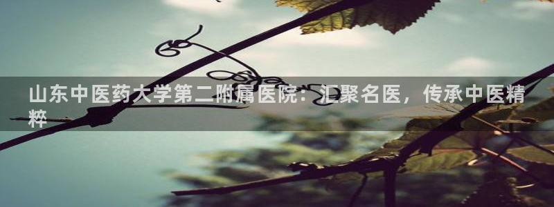 九游会官网首页进入吗