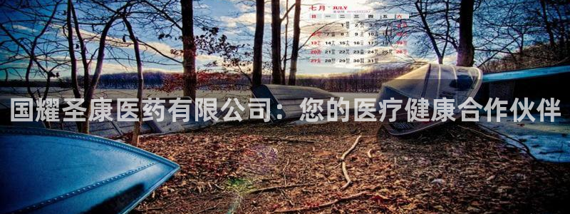 九游会平台王一博泰国